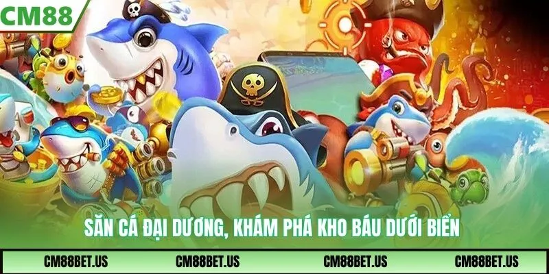 Săn cá đại dương, khám phá kho báu dưới biển